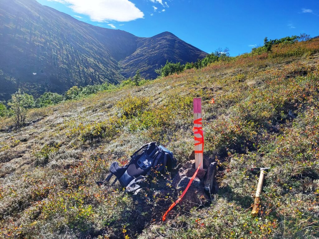 A claim staking post in the ground with red tape wrapped around it.