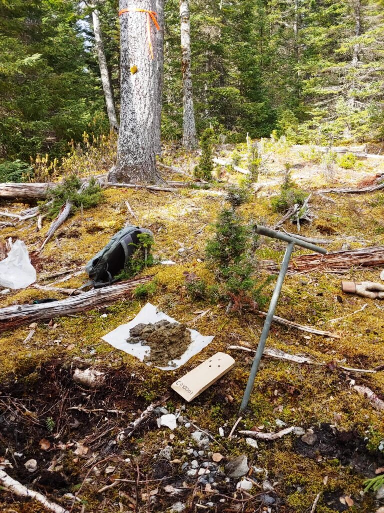 A soil sample that was taken in the woods, and the coring tool used to take the sample.